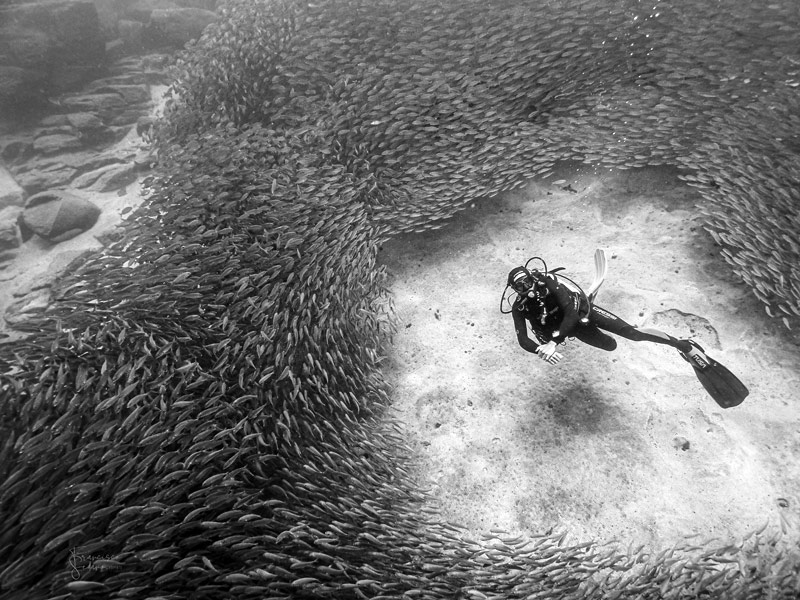 El Bufadero ou Le Mur de Palm Mar