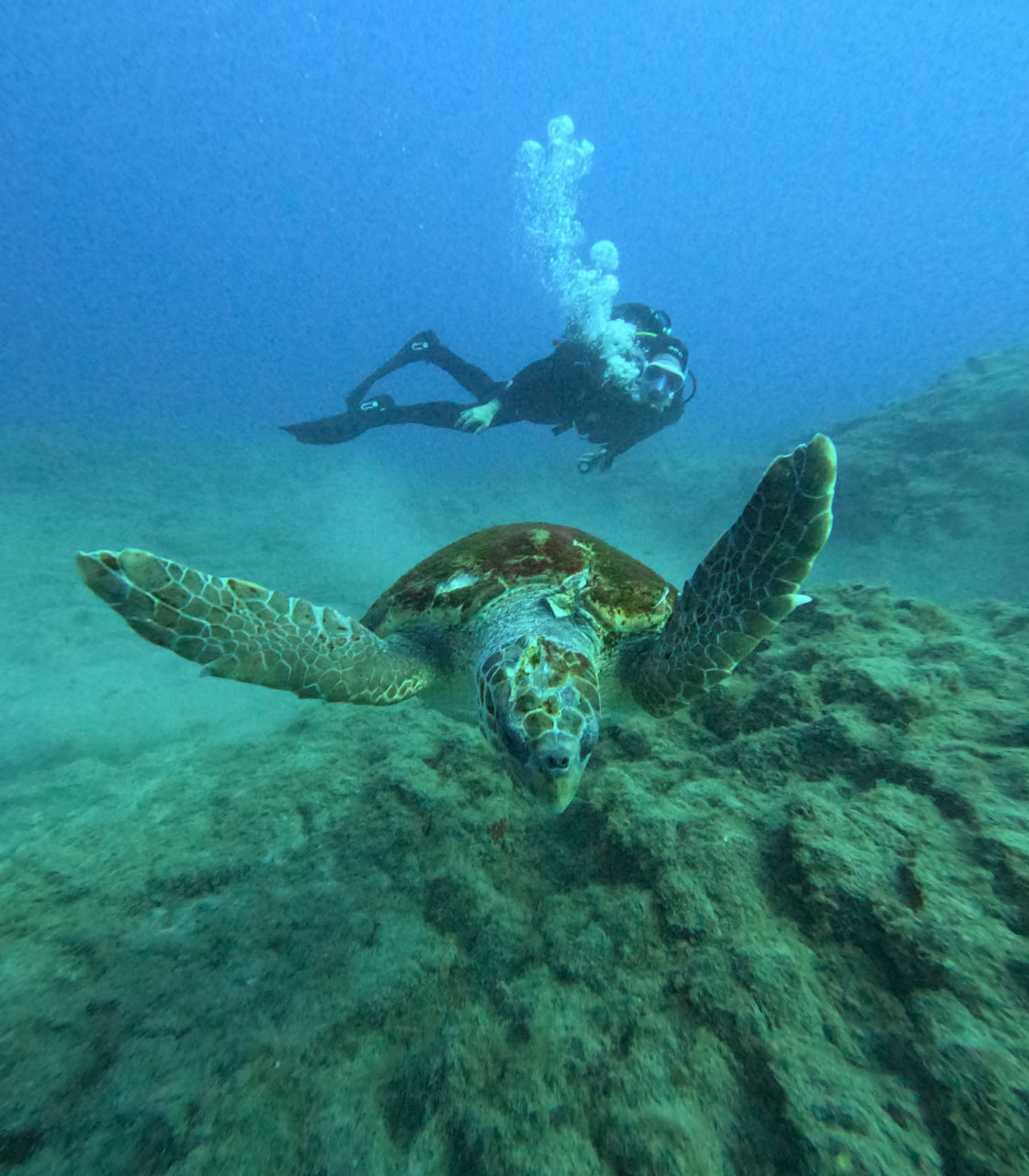 Mur de Palm Mar et grotte de Palm Mar