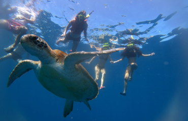 Другие активности