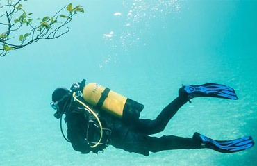 Le migliori stagioni