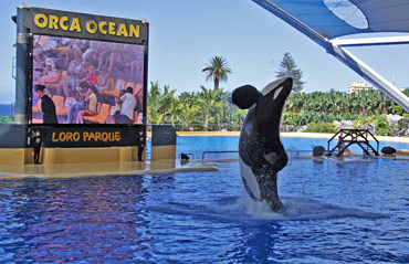 Le nostre escursioni