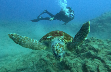 Muro de Palm Mar y cueva de Palm Mar