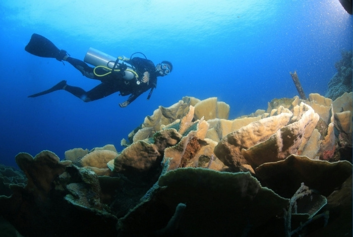 Plongeur Nitrox Extended Range