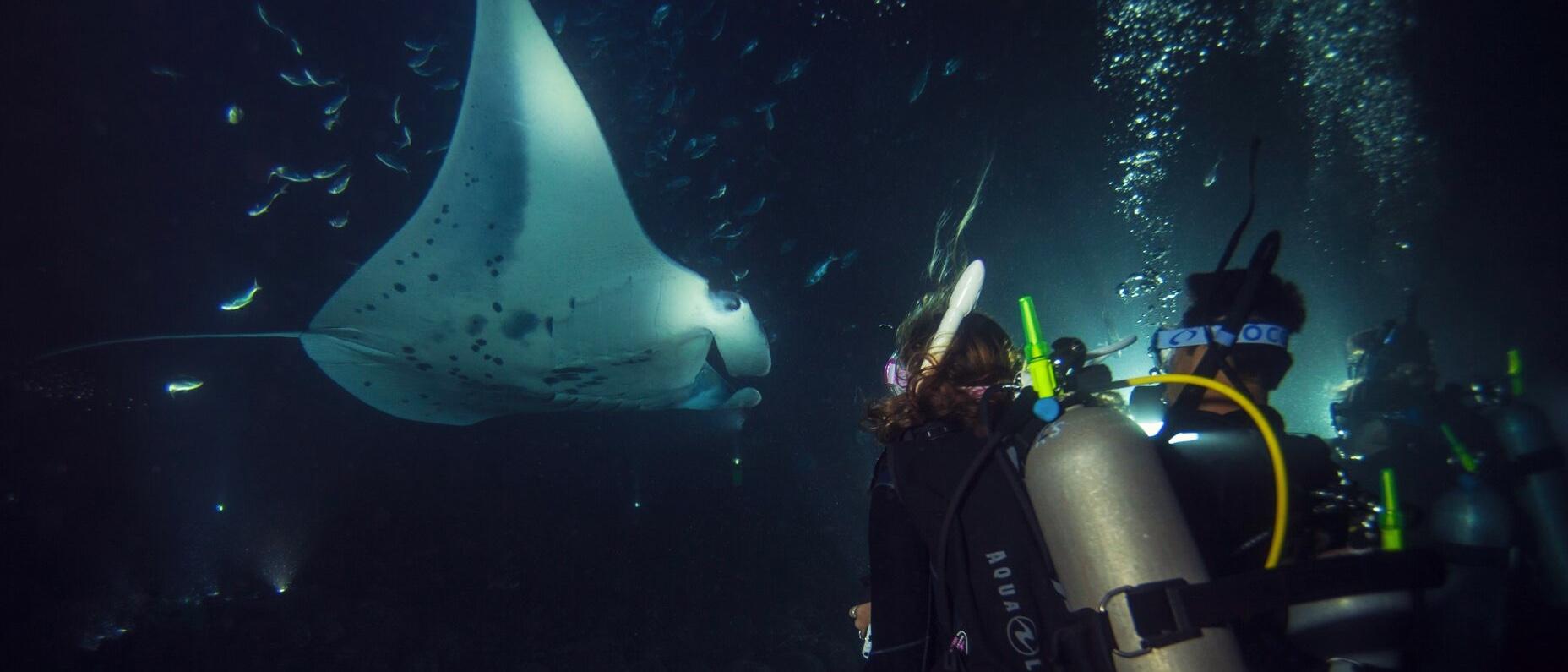 PADI Plongeur de nuit
