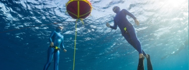 freediving for beginners